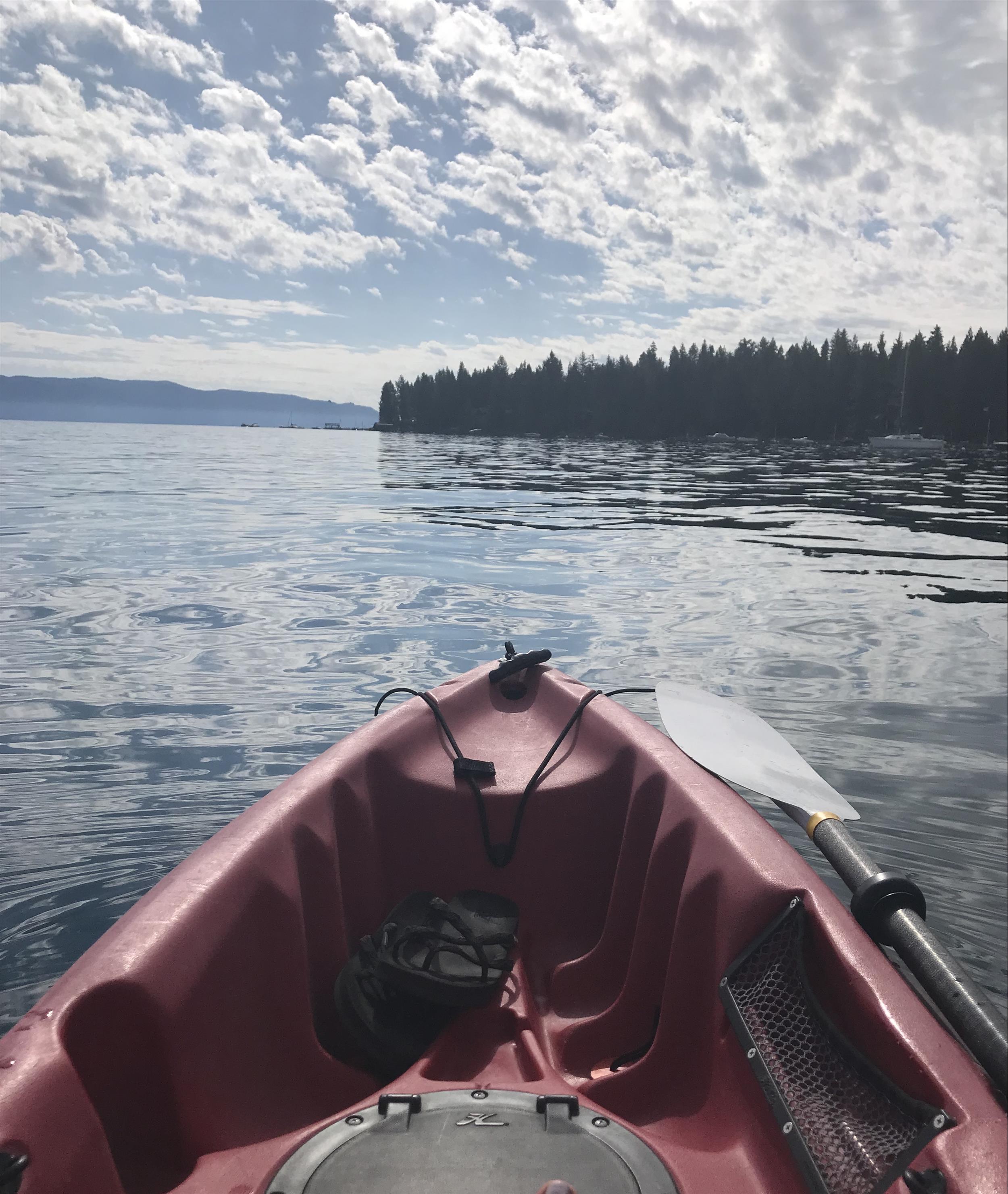 boat in the water going towards the trees