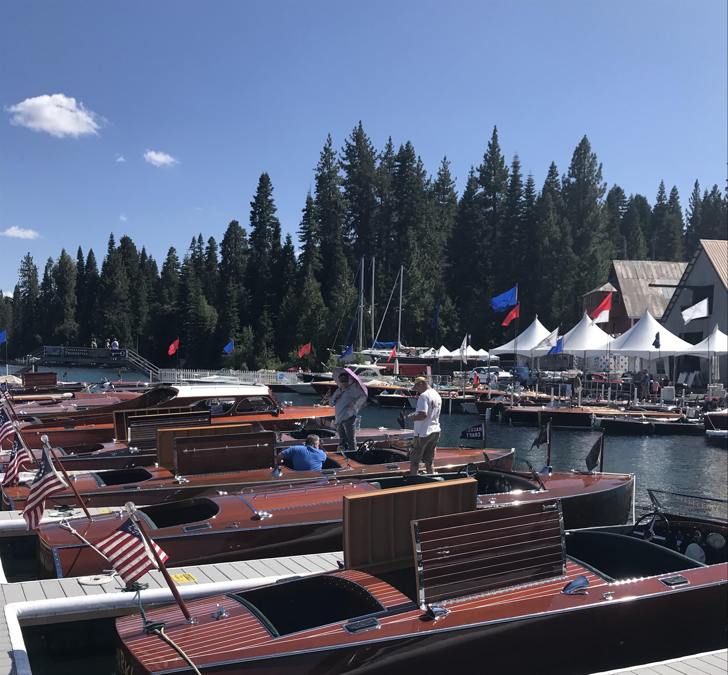 boats on the docks